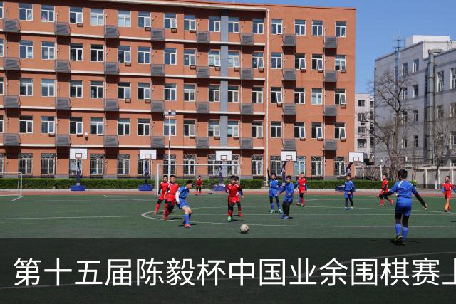 第十五届陈毅杯中国业余围棋赛上海开幕